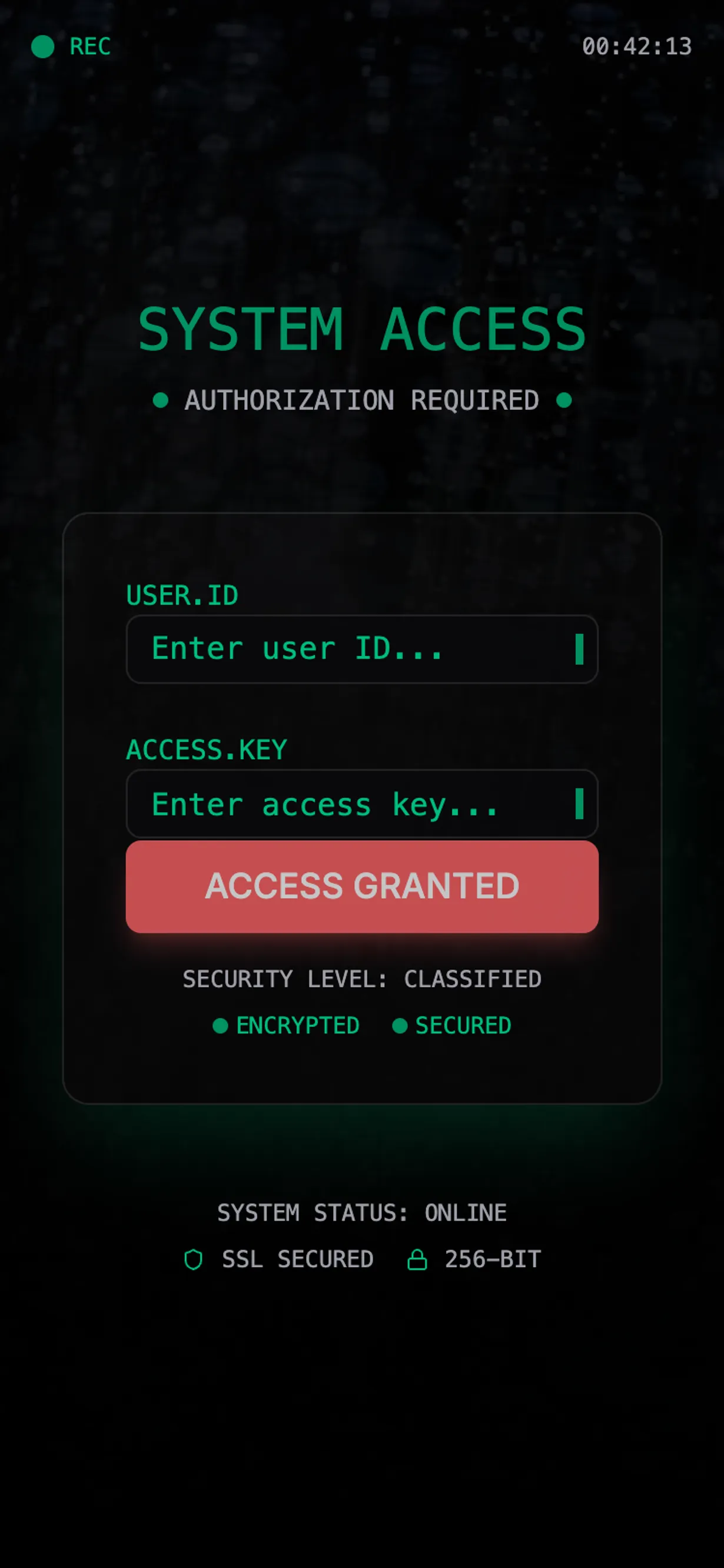 System Access